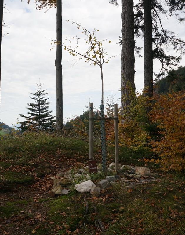 2013 10 20 B